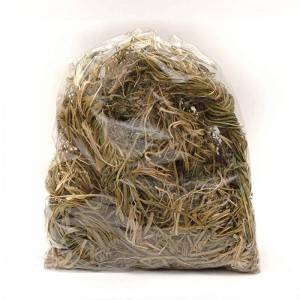 Ak Pancar (Sıpitak) 100 Gr